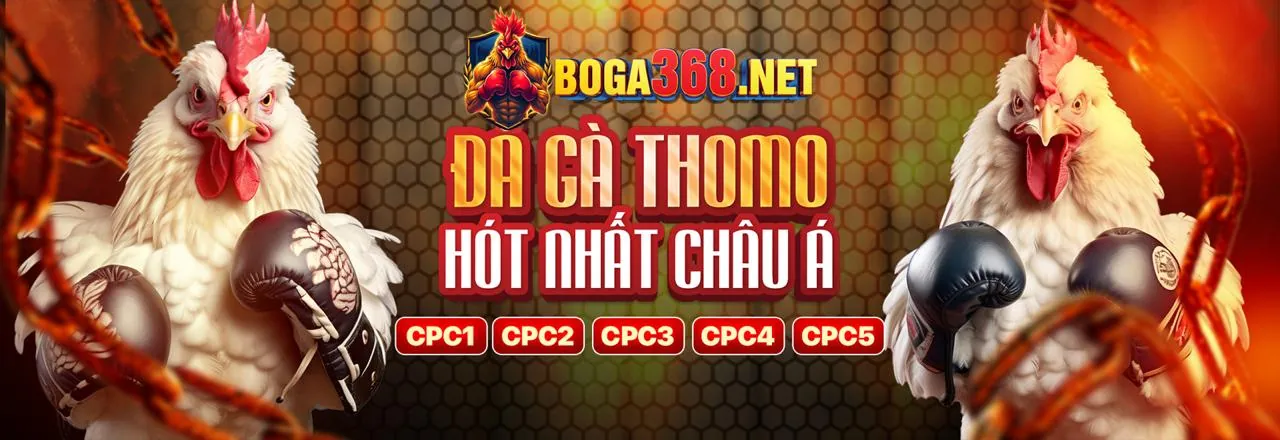 Hoàn Trả Hàng Ngày 58vin