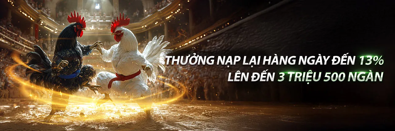 Đá Gà 58vin Khuyến Mãi 2026 - Trận Đấu Kịch Tính