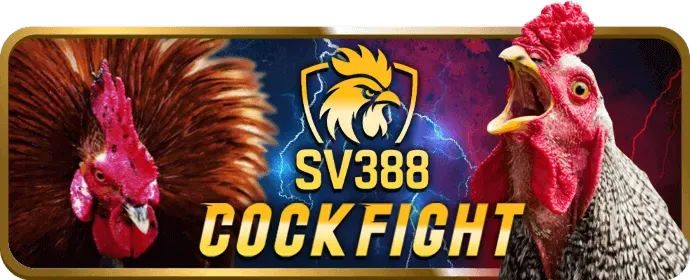Chương Trình VIP 58vin